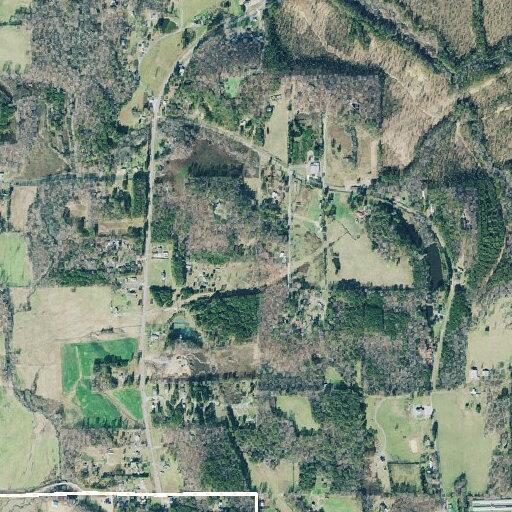 Person suffering abdominal pain at Rustic View Drive
