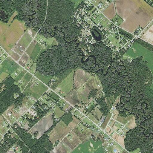Small brush fire on Sandra Lane near Highway 74