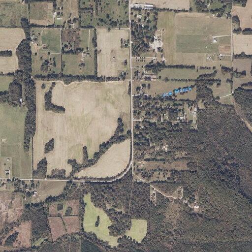 Person bitten by animal near Fuller Store Road in Leighton