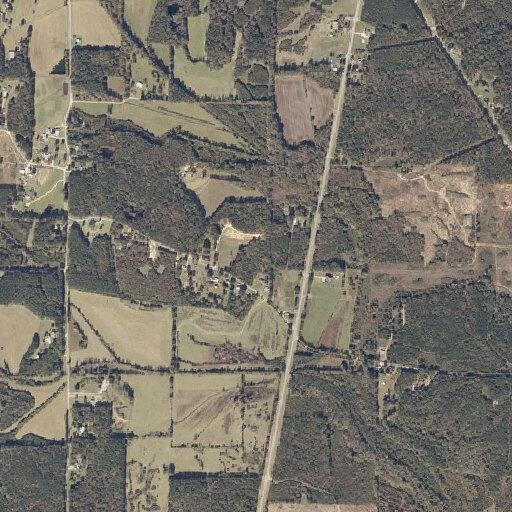 Unconscious man found near County Road 124 in Tishomingo