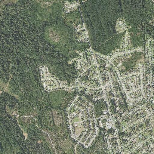Residential burglary alarm on Birch Drive