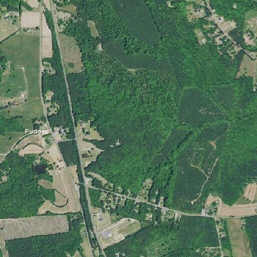 83-year-old male fainted but is conscious in Fort Lawn
