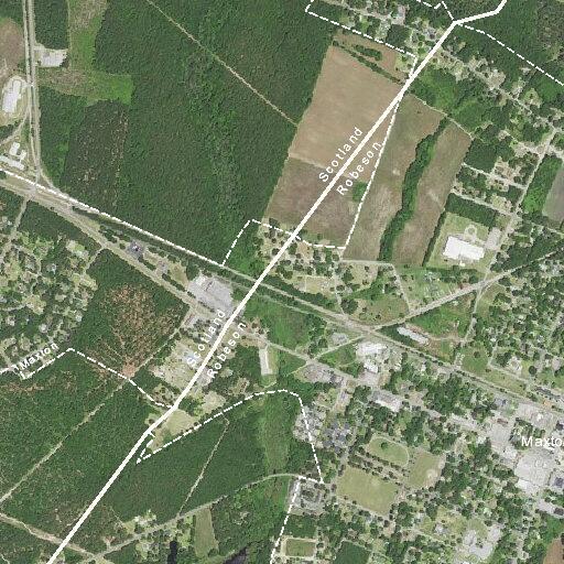 Tree down reported on Baldwin Branch