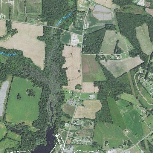 81-year-old woman with chest pains near Wallace