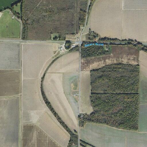 Woman stung by wasp at highway 15 address