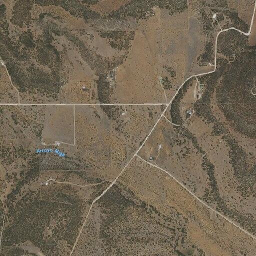 Possible Stroke Victim in Estancia