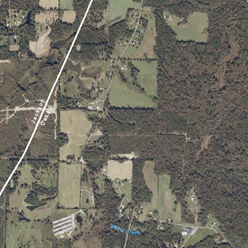 Large tree blocking County Road 55 in Flat Rock