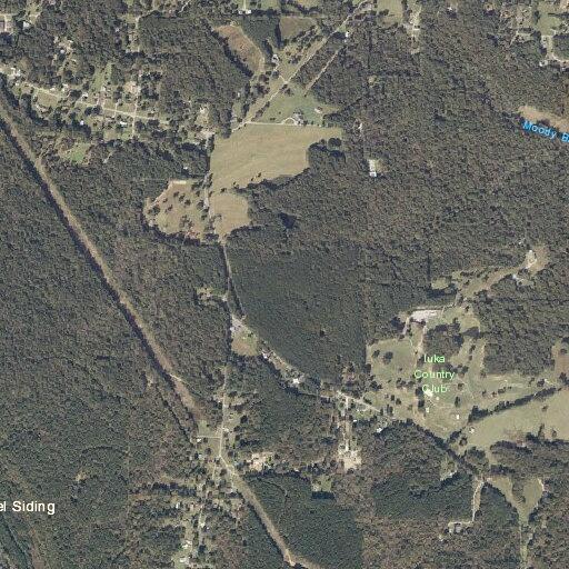 Diabetic patient reported at Co Rd 247 in Iuka