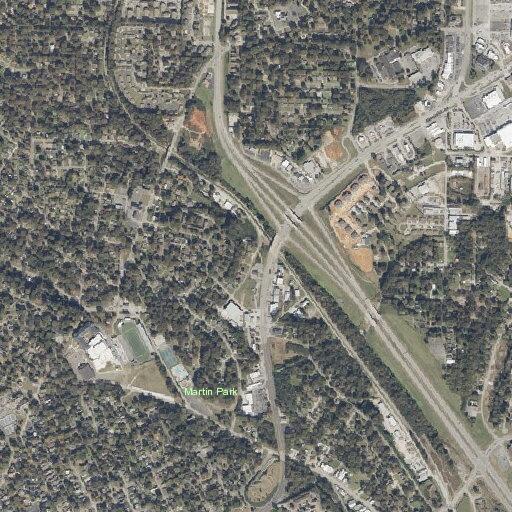 Loose pit bull on Florence Boulevard