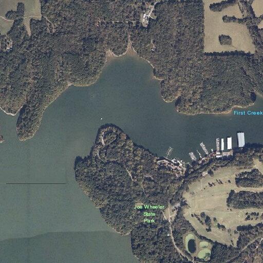 88-year-old man falls at Joe Wheeler State Park cottage