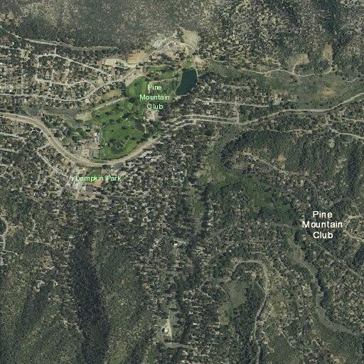 Psychiatric patient reported near Bernina Drive