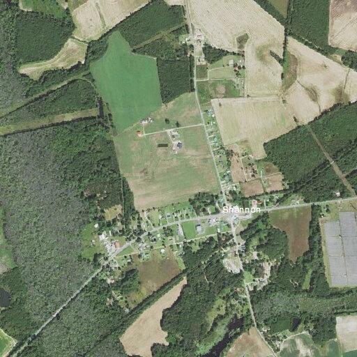 County coroner requested near Shannon Road