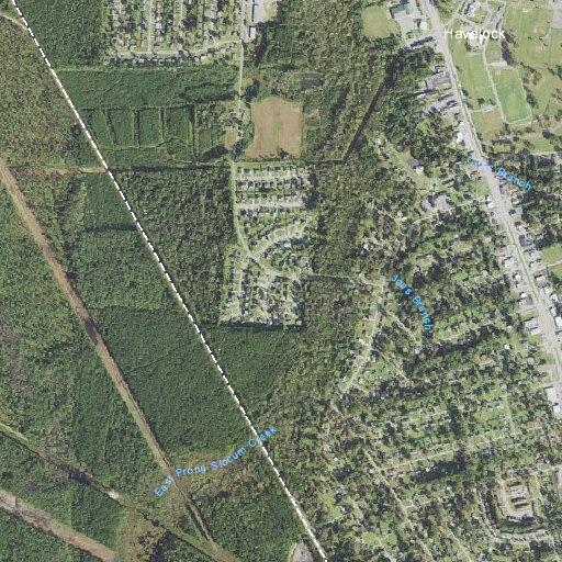 Elderly woman found unresponsive but breathing at home