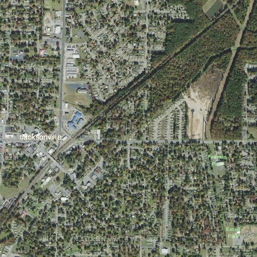 Woman having a seizure near North Avenue in Jacksonville