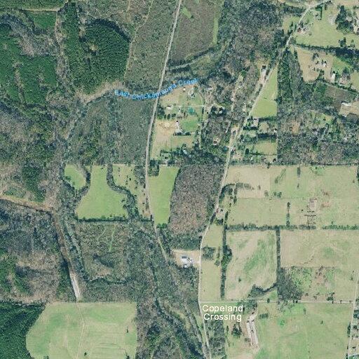 Woman with gout unable to stand near Bandy Road
