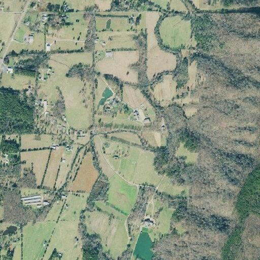 Man bitten by dog near Crystal Lane in Ringgold