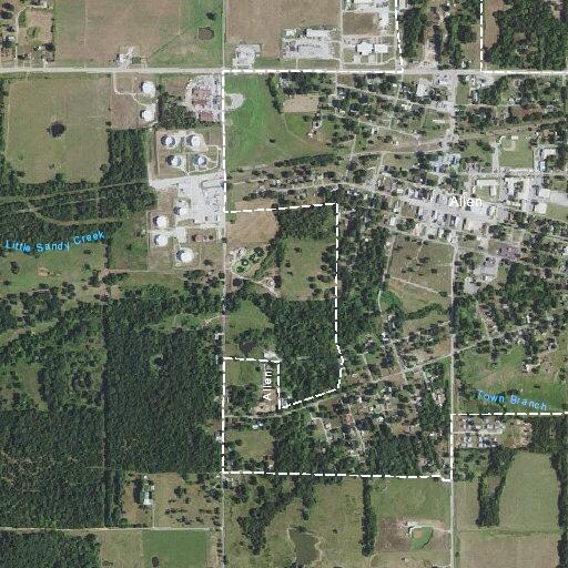 66-year-old woman with altered mental status in Allen