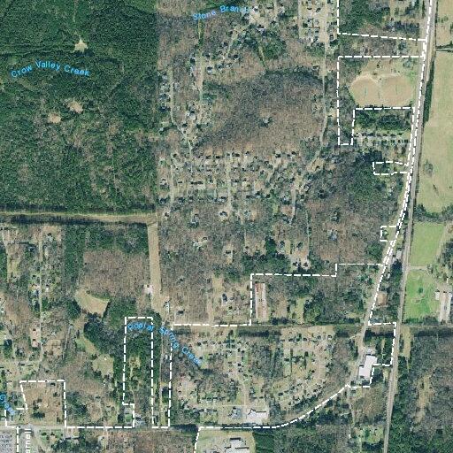 Elderly woman falls near New Hope Road with no injuries