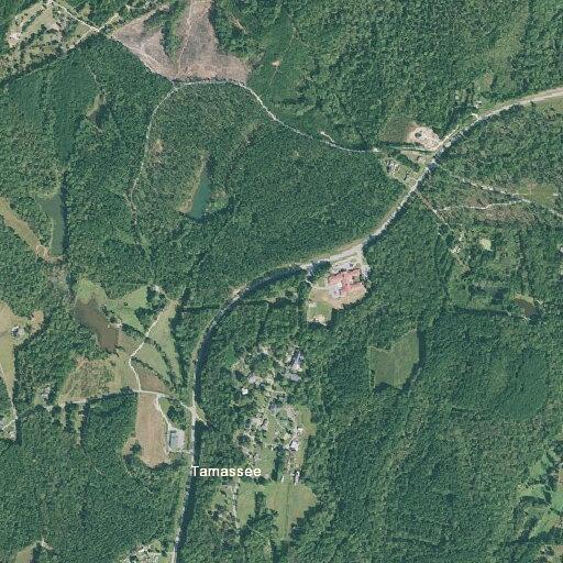 Trees blocking road near water plant in Tamassee