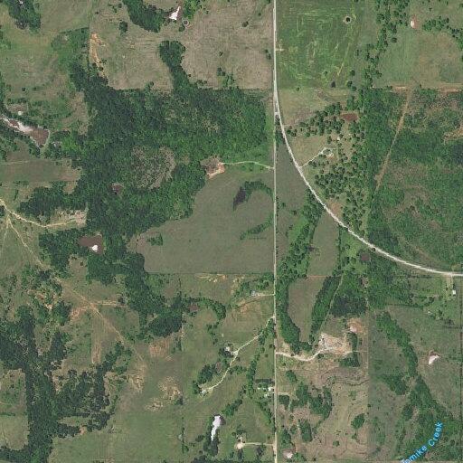 Loose cows in and out of roadway near Signal Hill
