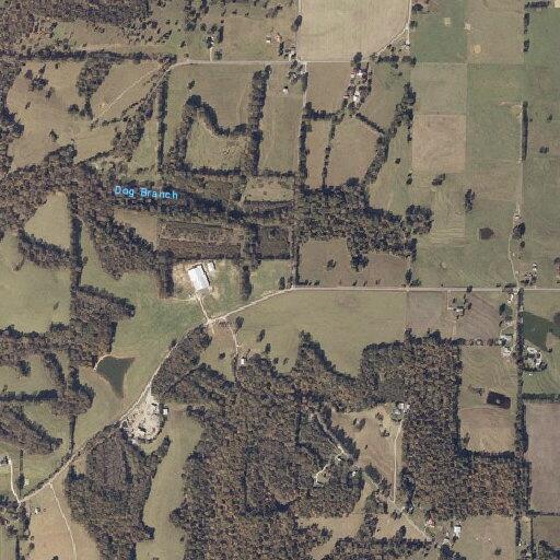 82-year-old woman found unresponsive at Rogersville home