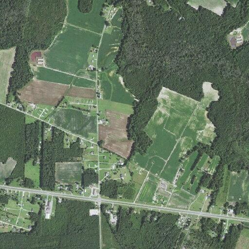 Complaint about numerous cats at Beulaville home