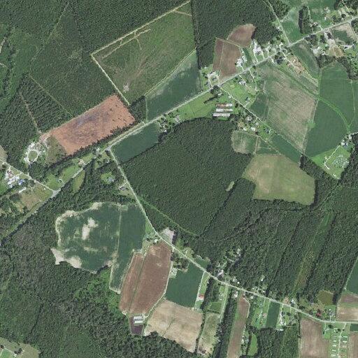 Patient found behind house near pool at Pink Hill