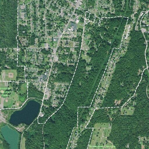 Verbal dispute during child exchange on Ellis Road