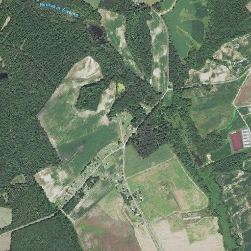 Neighbor’s hogs loose at Kenansville residence