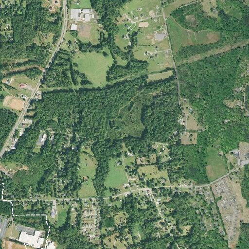 Report of missing adult at Blue Ridge Street