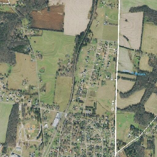 Woman feels lightheaded and dizzy at Ardmore Ridge Rd