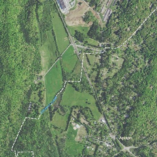 New dog bites man and tries to bite daughter