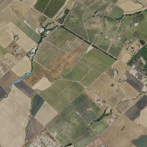 Person treated for allergic reaction near Nandina Lane in Nipomo