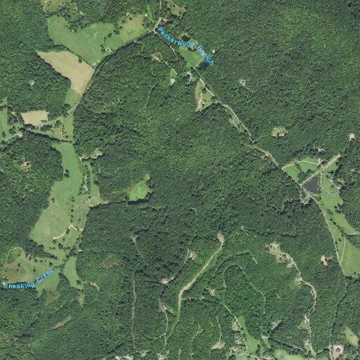 86-year-old female unconscious after spasms in Hayesville