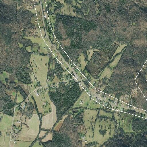 34-year-old female with back pain at Elkton Pike