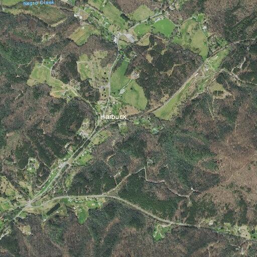 Tree limb blocking Highway 68 roadway