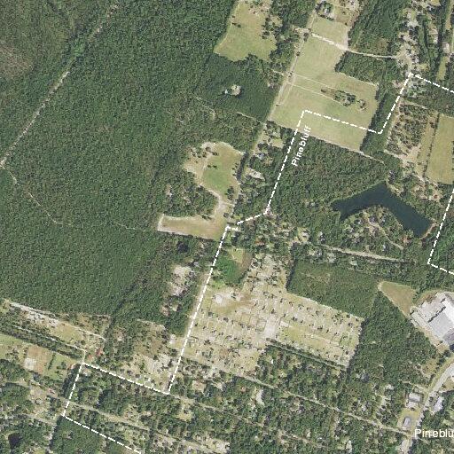Lifeline alarm at residential address in Pinebluff