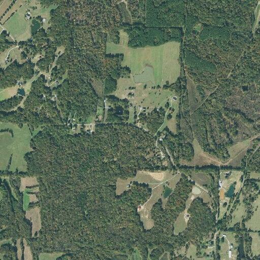 Female with head wound above eye near Bobbitt Road