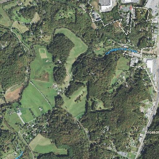 Person receiving CPR at Oak Hill Drive in Franklin