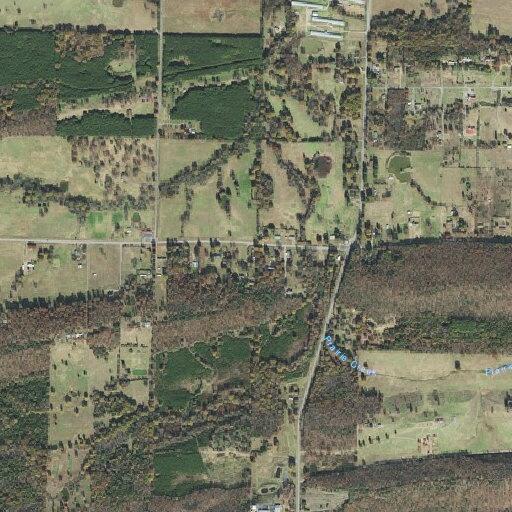 Vehicle hits animal; driver requests medical check