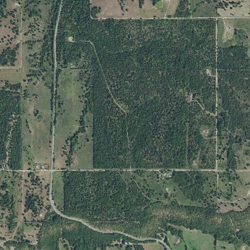 Cows loose on Highway 2 near radio tower