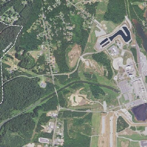 Report of tree near roadway on South Point Road