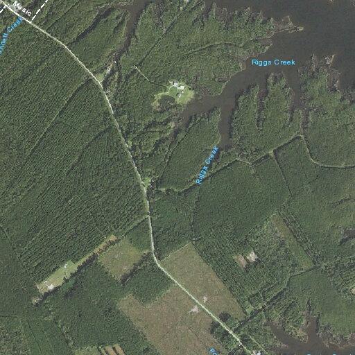 Property transfer dispute at Hummingbird Lane