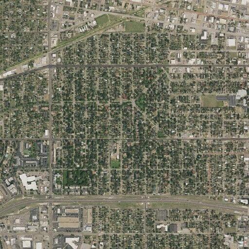 Possible suicidal person near South Travis Street
