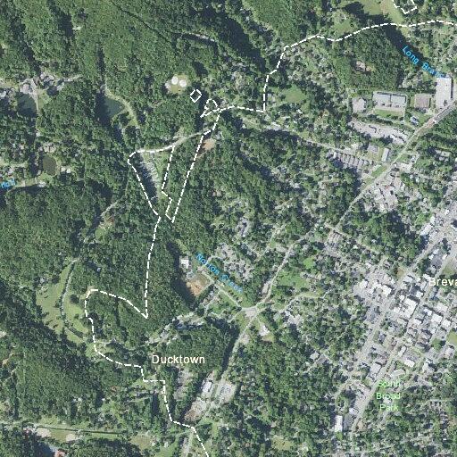 Man reports pain and possible infection from dislodged area