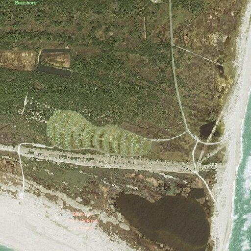 Juveniles rescued from ocean near cape point campground