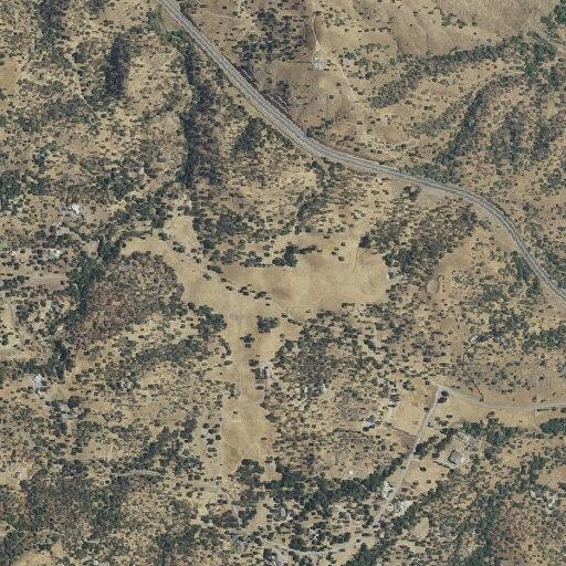 Search for missing person from Bear Valley