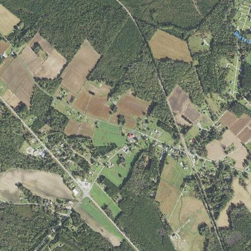 Elderly woman falls near Macedonia Church Road