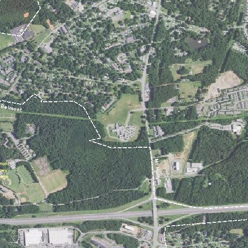 Person suspected of stroke near Hawley Avenue in Belmont