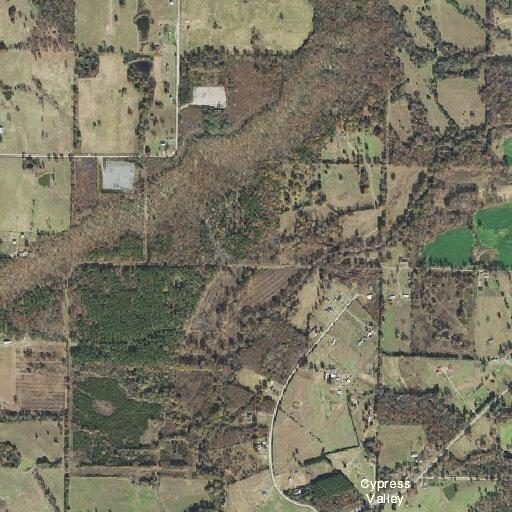 Man having a seizure near Cypress Creek Road